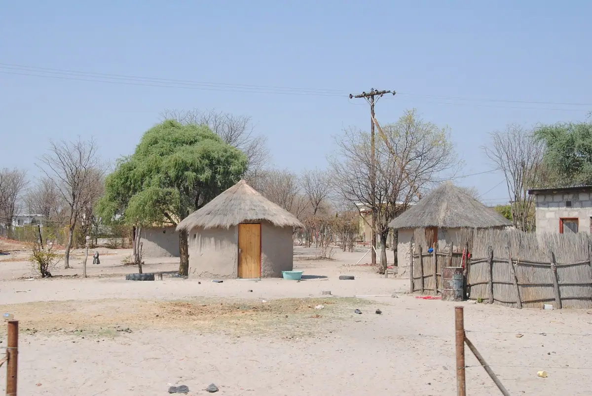 The bush between Maun and the Okavango Delta