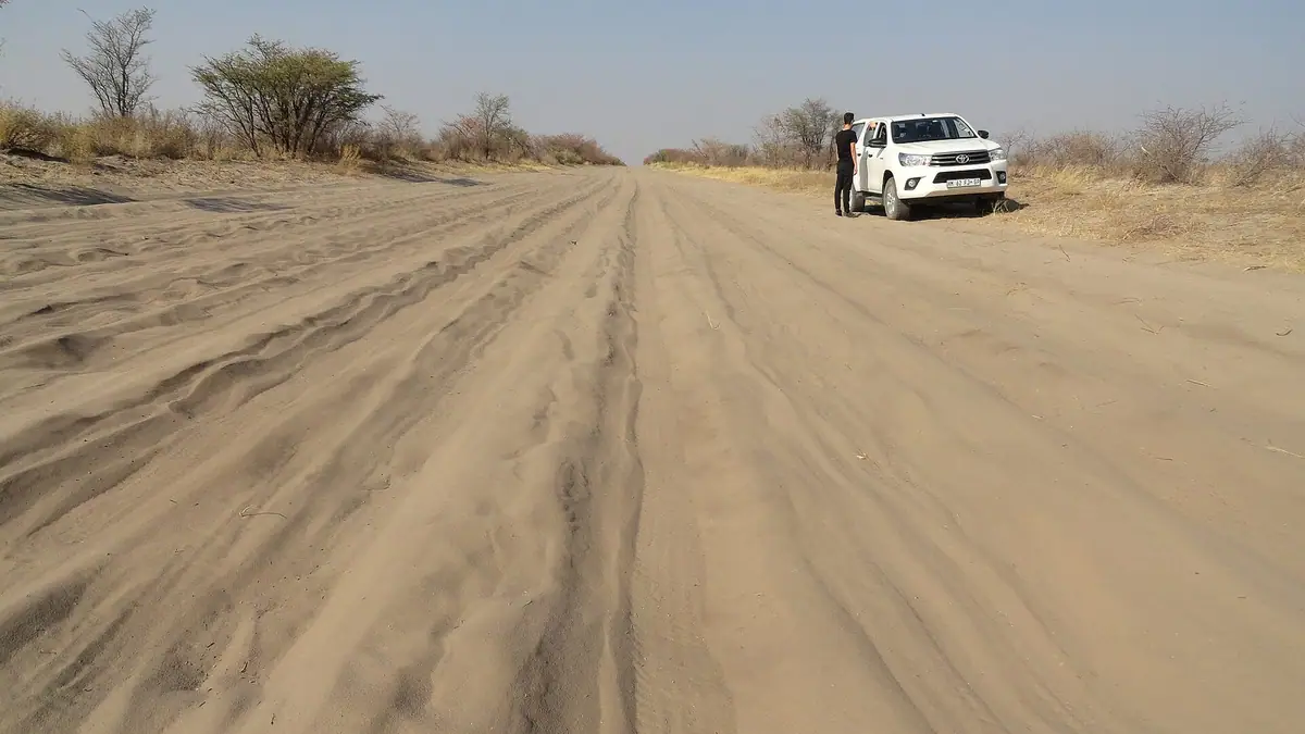 The track to Baines' Baobabs across Nxai Pan