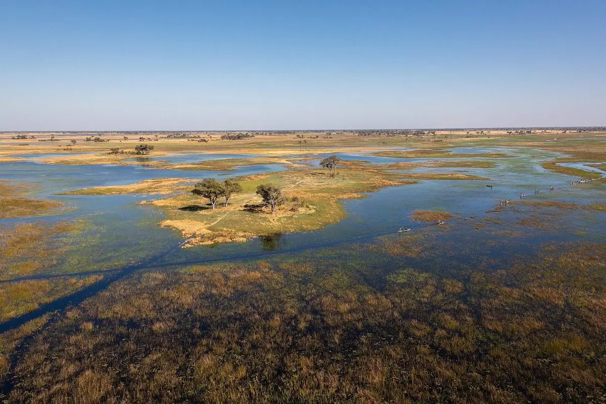 The Okavango Delta from the air, water between palm islands
