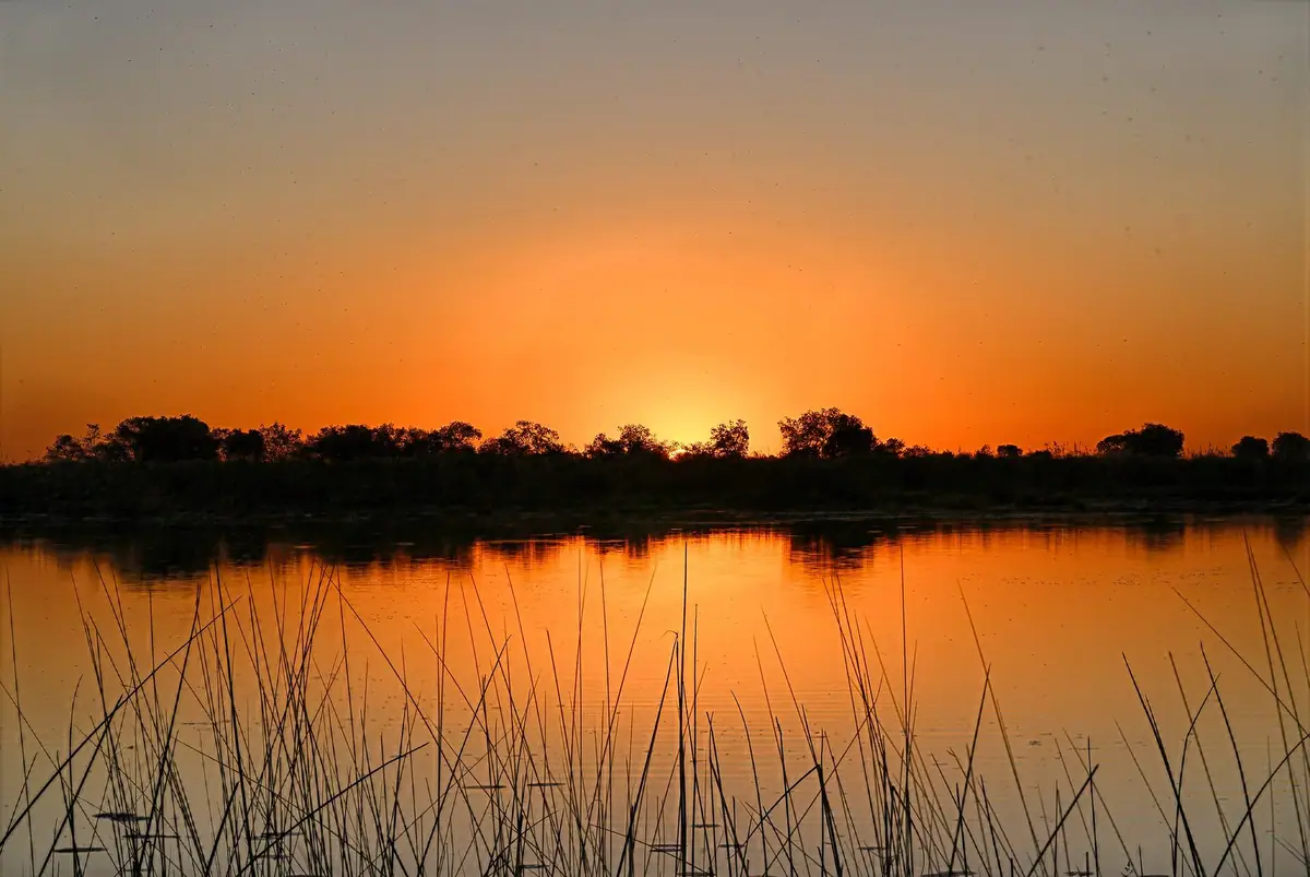 Sunset after a boat cruise in the Okavango Delta