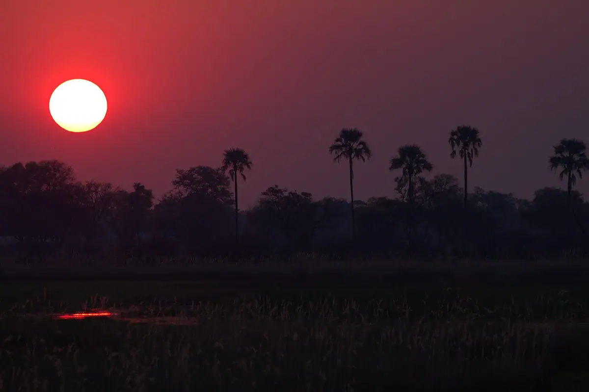 Sunset over the water of the Okavango Delta