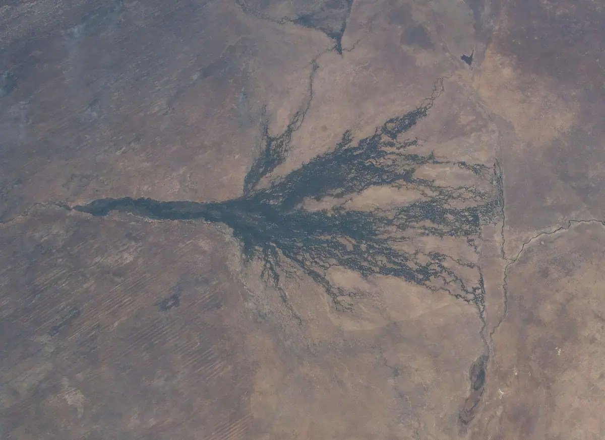 The Okavango Delta and the Selinda Spillway seen from the International Space Station
