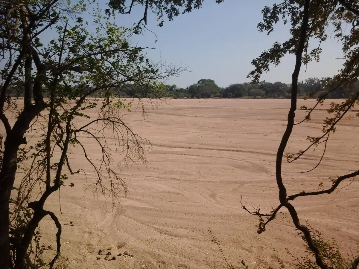 The dry sandy bed of the Shashe River in Botswana